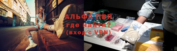 PSILOCYBIN Богородицк
