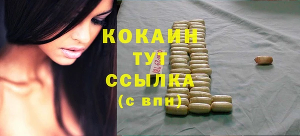 молекула духа Богданович