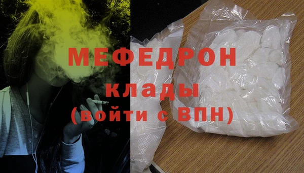 молекула духа Богданович