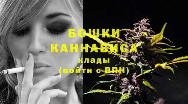 молекула духа Богданович