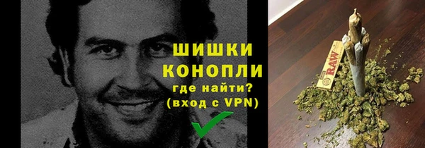 молекула духа Богданович