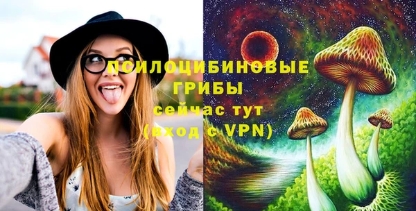 экстази Арсеньев