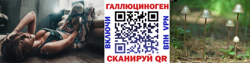 где продают   shop наркотические препараты  Галлюциногенные грибы прущие грибы  Певек  kraken зеркало 
